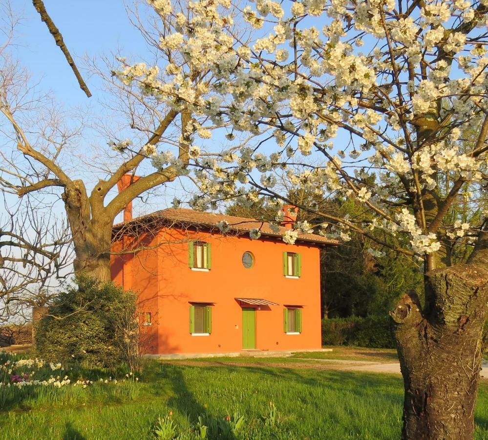 La Centuria Societa Agricola Casa Vacanze Terzo d' Aquileia Ngoại thất bức ảnh